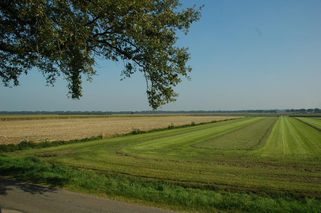 Huize Ouwervelden Bed and Breakfast Wouwsche Plantage Eksteriør billede